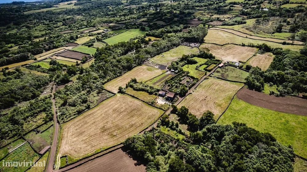 Land for Sale in Madalena, Pico Island – 43,000 m²
