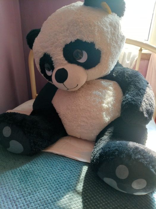 Panda grande lindo