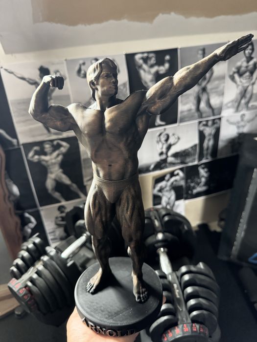 Arnold Schwarzenneger - figurka 37cm siłownia kulturystyka fitness