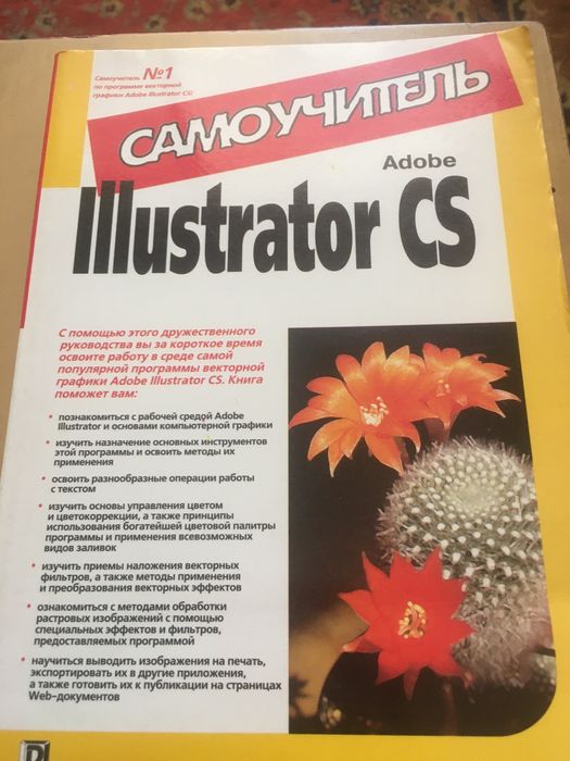 Самоучитель Illustrator CS