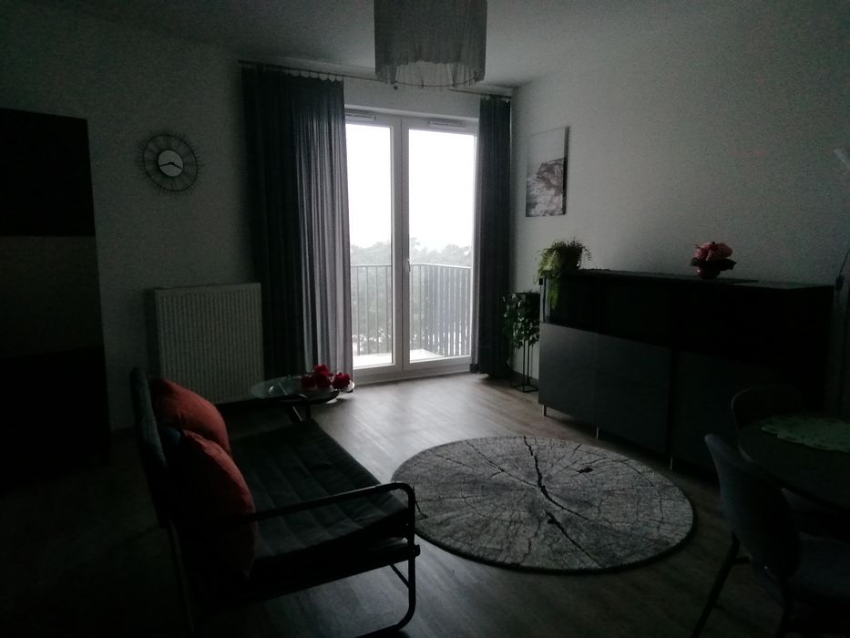 Zdjęcie 2