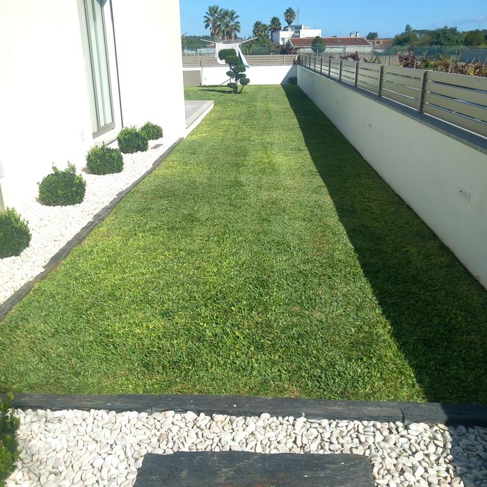 Serviços jardinagem