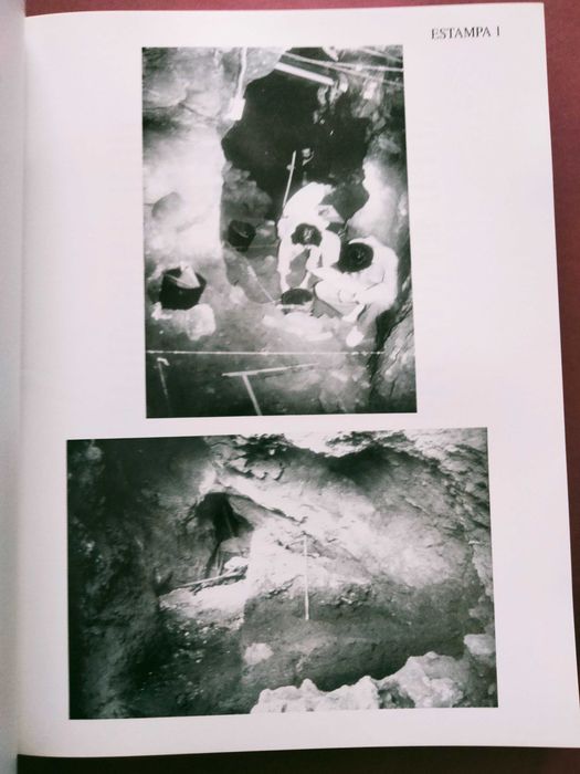 Contribuição para o Conhecimento dos Grandes Mamíferos do Plistocénico