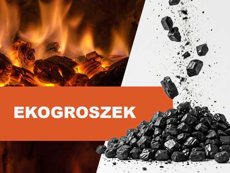 Groszek Nero Premium Plus 29 Workowany
