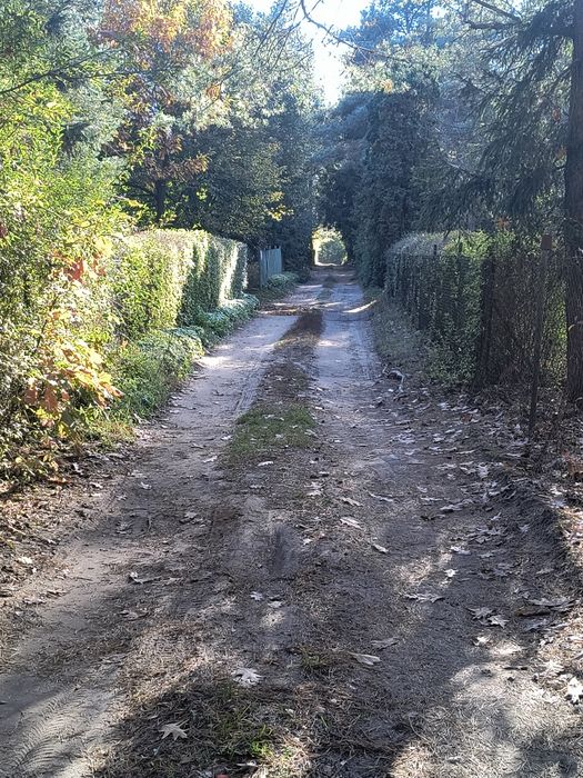 Działka leśna 1164 m² w Komornicy – możliwość zabudowy całorocznej - Widok 2