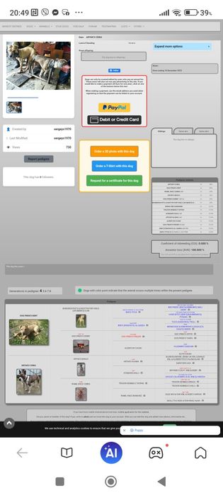 Американський пітбультер'єр