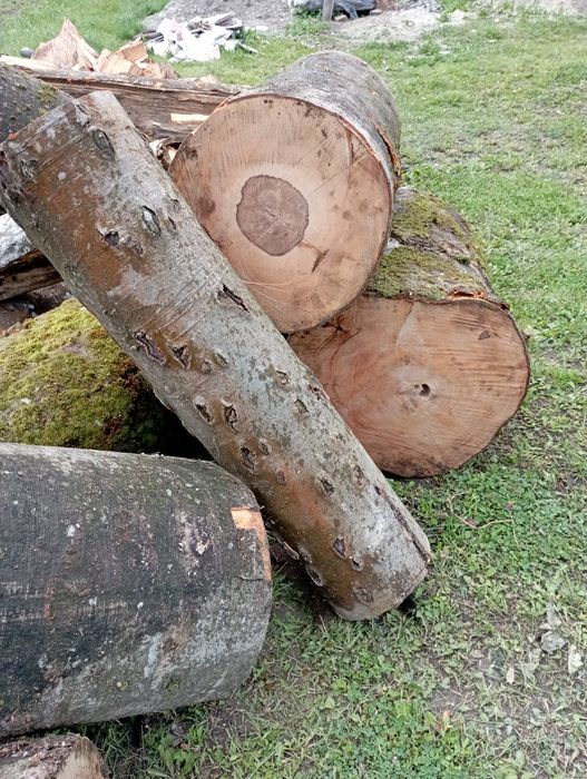 Дрова твердих порід Граб Бук Дуб