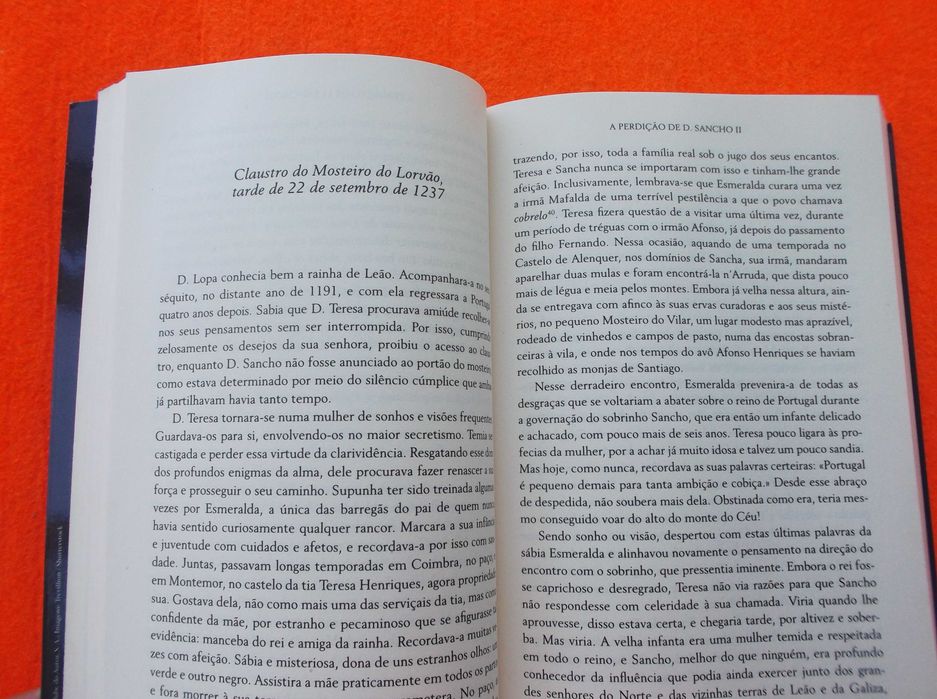 A Perdição de D. Sancho II  - Paulo Pimentel