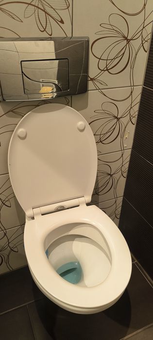 Misa toalety miska koło