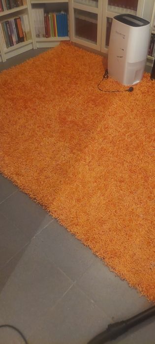 Carpete 1.60/2.20 m