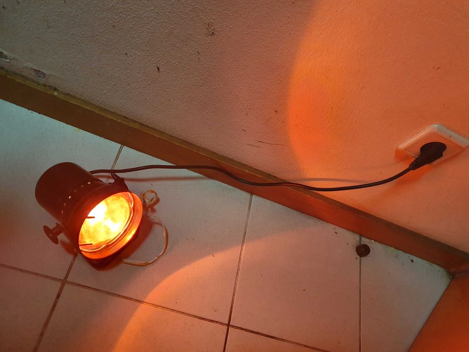 Vários artigos disponíveis