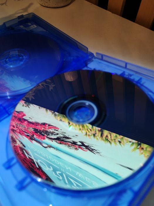 Horizon 2 Fobriden West PS4 pl