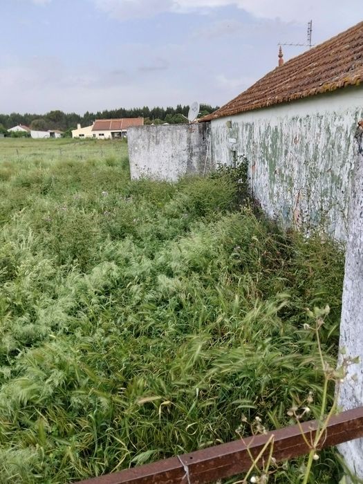 Arrendamento casa