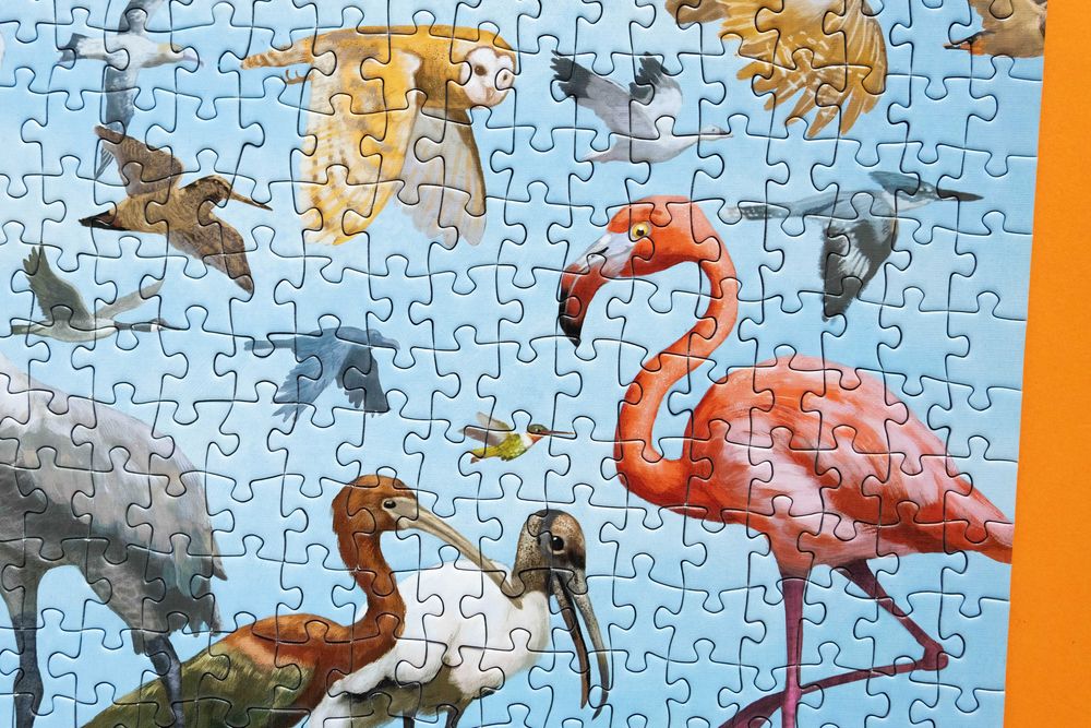 Puzzle Peter Pauper Press All the Birds 1000 el kompletne