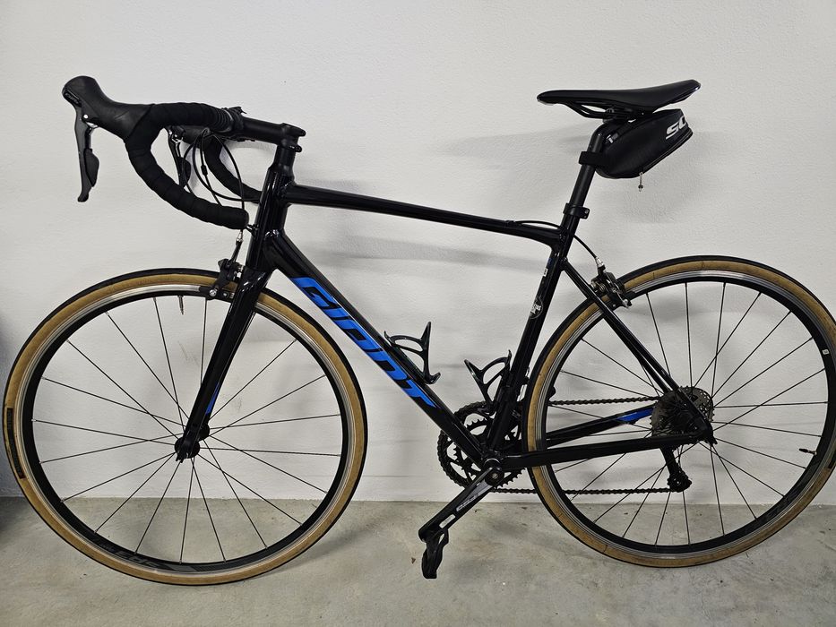 Giant Contend 3  2021