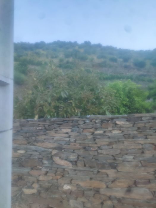 Terreno rústico em Moncorvo