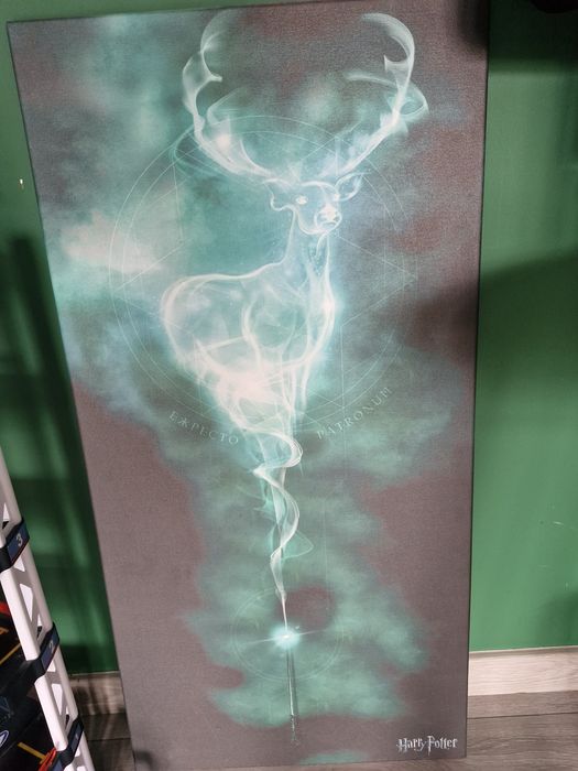 Harry Potter patronus obraz 100x50