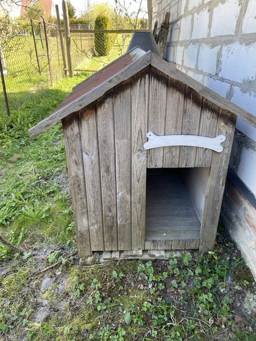 Buda dla dużego psa