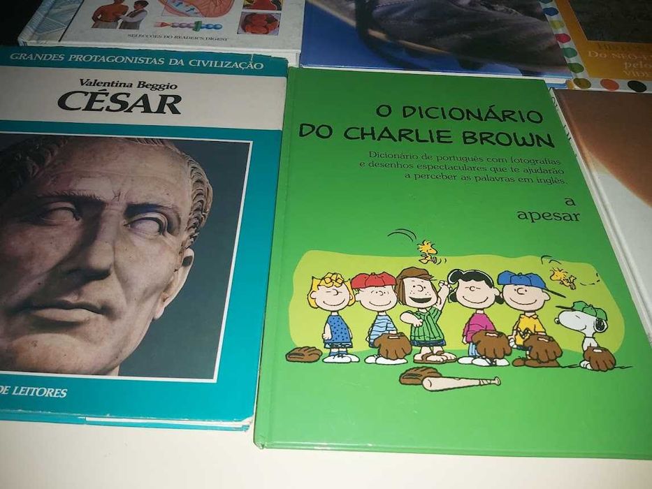 Livros, DVD Filmes e cassetes vídeo para desocupar