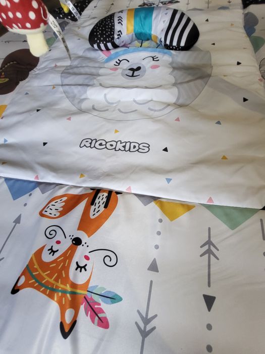 Mata edukacji Ricokids