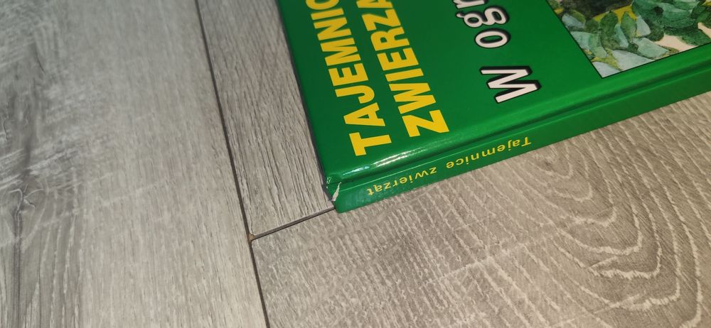 Książka - Tajemnice zwierząt - W ogrodzie i w domu