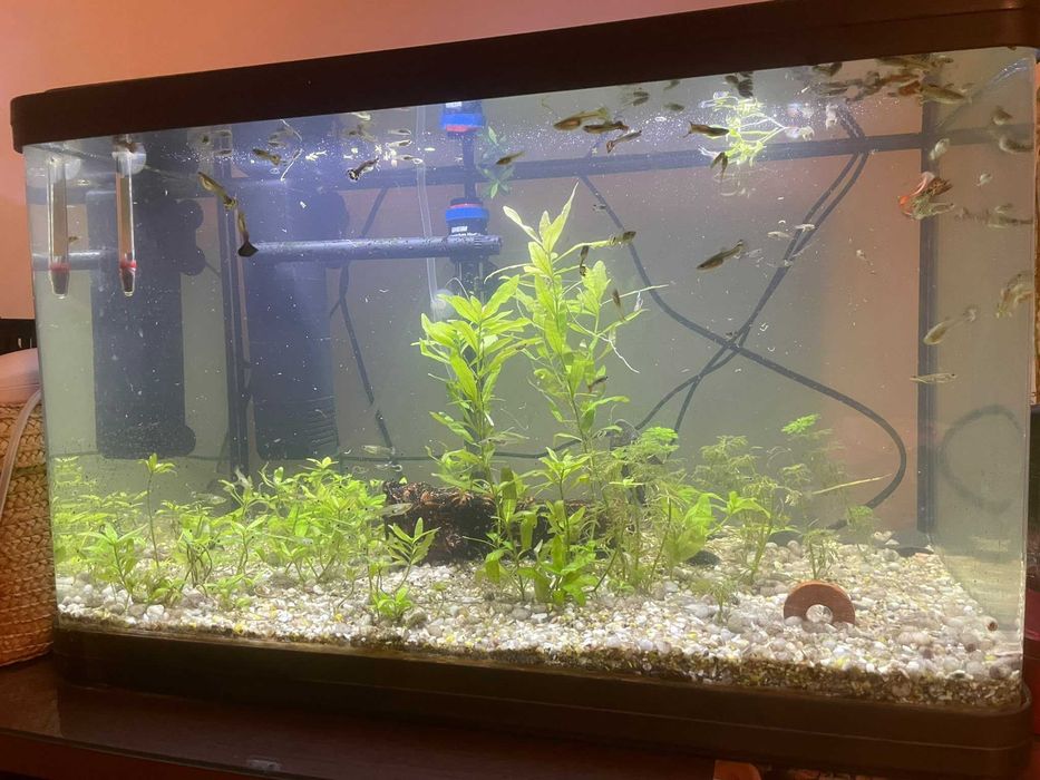 Vendo aquario completo