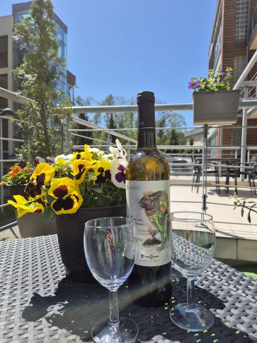 FERIE wolne terminy Apartament z tarasem ZETA PARK Wynajem długo lub k