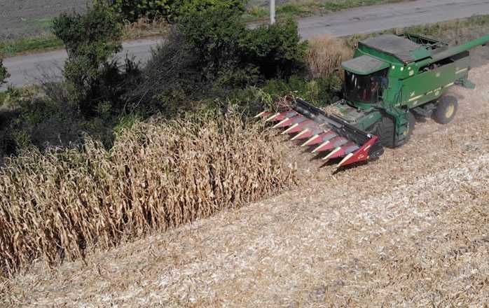 Жатка кукурудзяна Olimac Drago 2 б/у 8-рядна. В наявності на складі