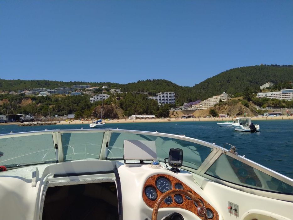 Barco Lema Gold