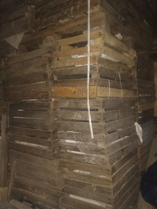 Skrzynki giełdówki 400 szt Transport