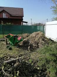 Оренда Дробілка измельчитель веток порізка дерев