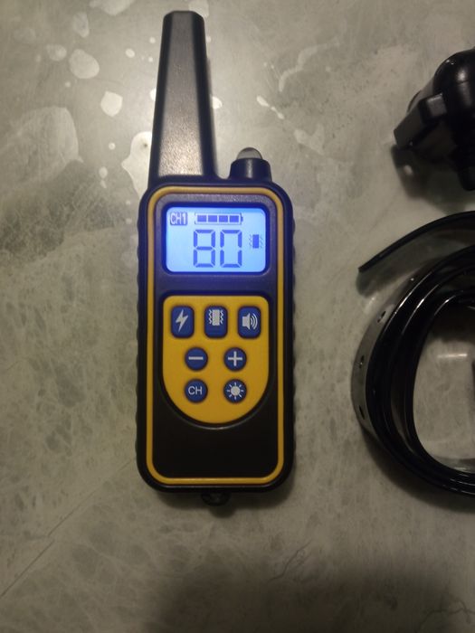 Електронний ошейник для собак