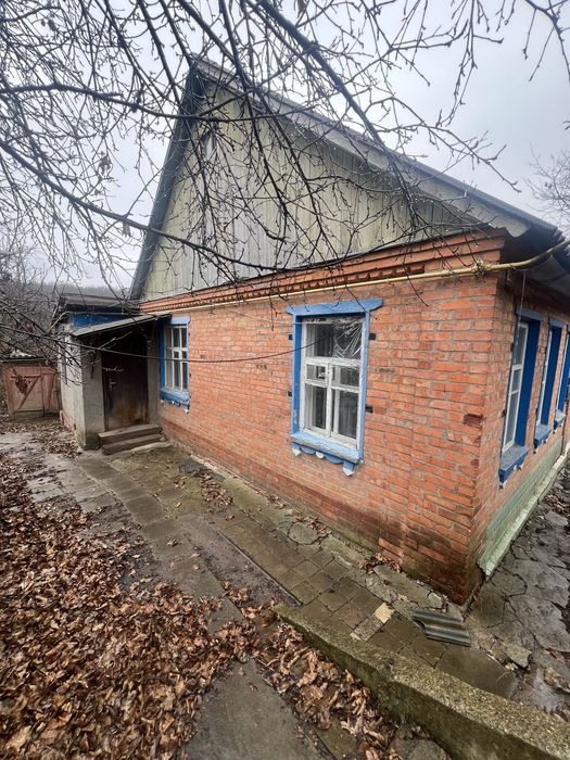 Продам пол дома Кочеток