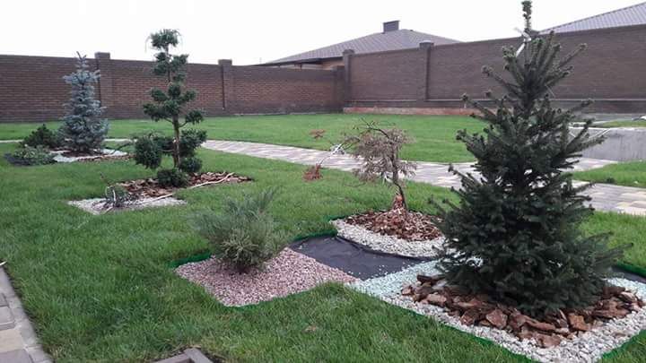 Аэрация, вычесывание.Озеленение. Укладка рулонного газона. Ландшафт.