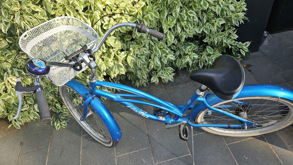 Rower electra, rower miejski