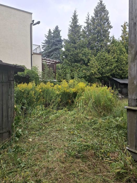 Serwis sprzątający