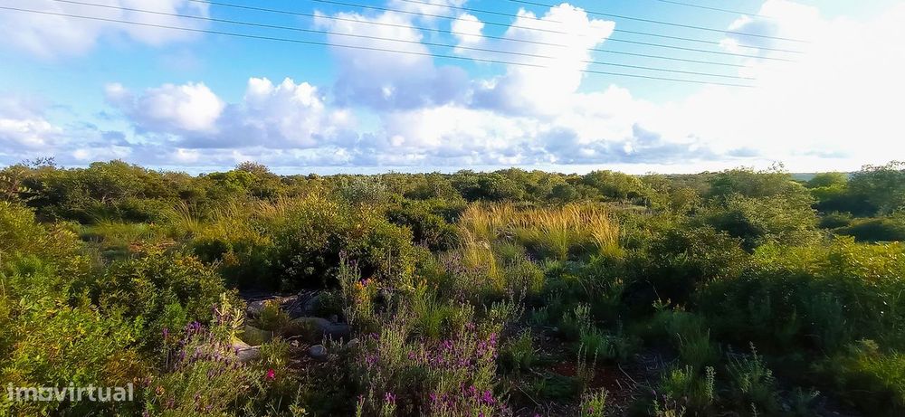 Terreno Rústico  Venda em Conceição e Estoi,Faro