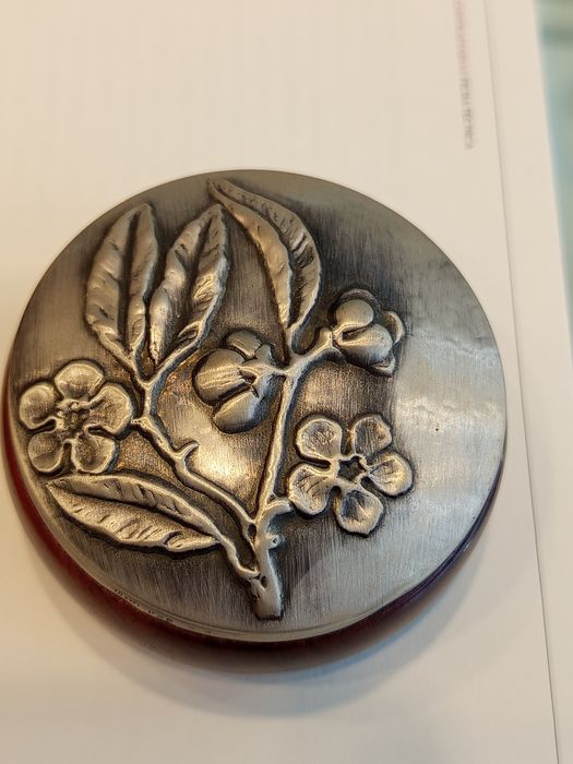 Caixa em Prata para comprimidos