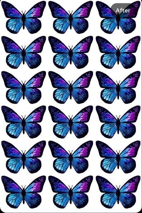 Букети з метеликів