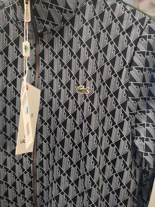 Dres Lacoste monogram  niebieski