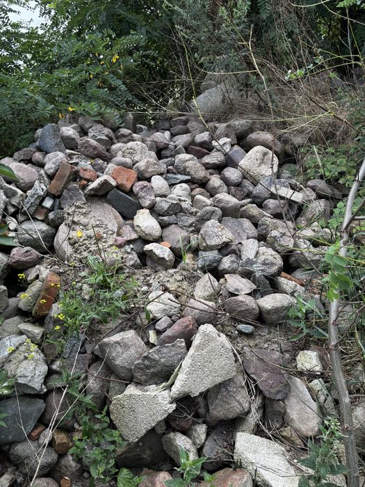 Oddam darmo kamienie polne