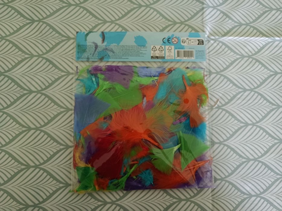 Pióra rzemieślnicze