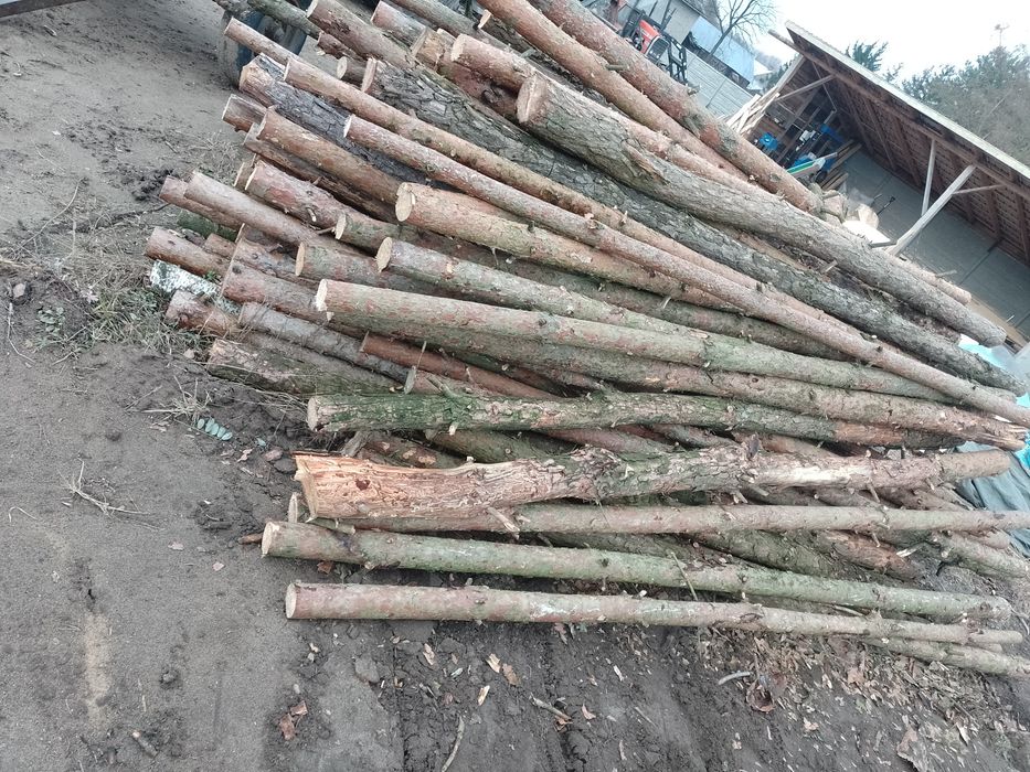 Stemple 3m drewniane nowe