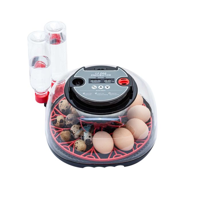 AUTOMATYCZNY klujnik 12 jaj INKUBATOR wylęgarka KURA kaczka przepiórka