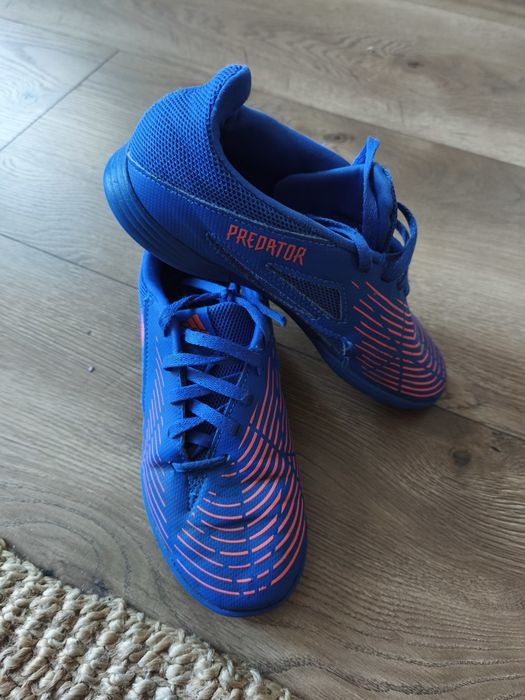 Adidas Predator 36 halówki