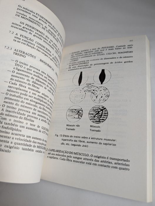 Metodologia do treino desportivo