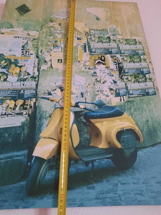 Quadro decorativo Mota