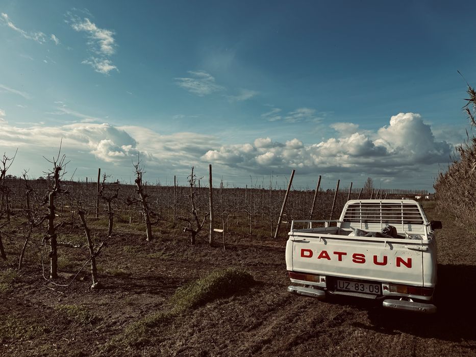 Datsun sg 720 caixa metalica