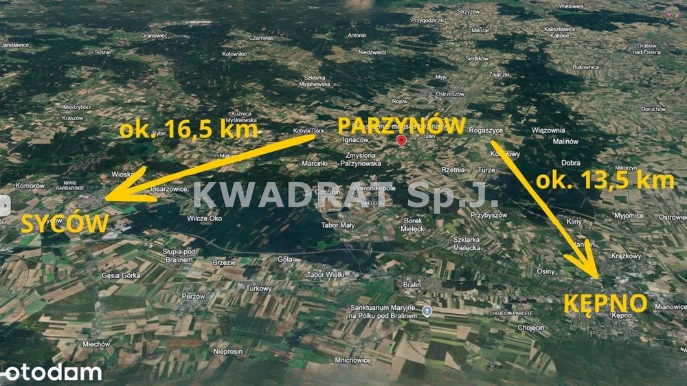 Działka, Parzynów