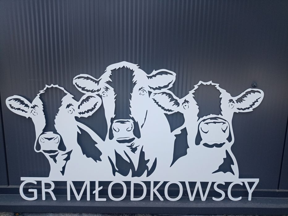 Krowy wycinane z blachy na oborę